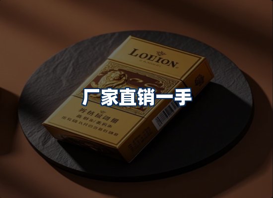专业团队办公环境